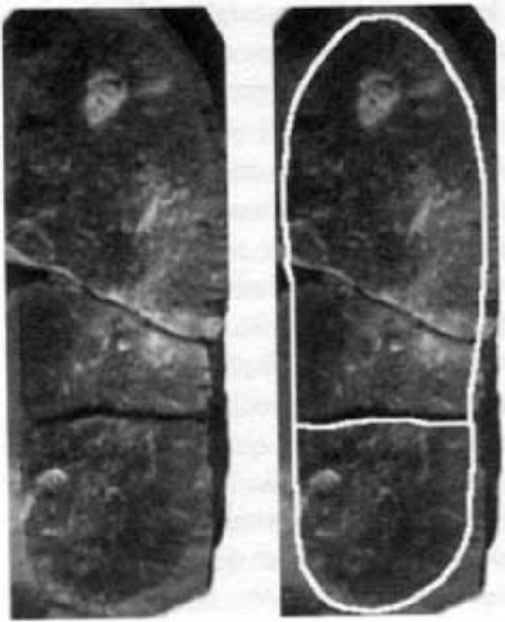 Empreinte de chaussure de vieille de 505 à 590 millions d'années.