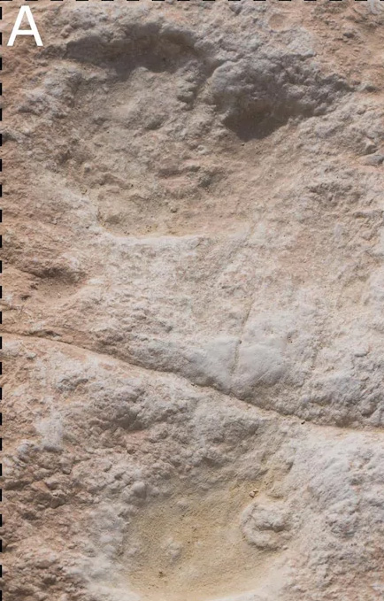 Empreinte d'un Homo sapiens en Arabie Saoudite
