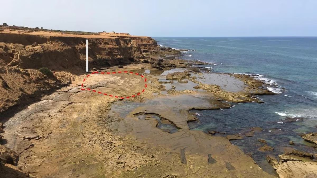 Empreintes vieilles de 100 000 ans au Maroc