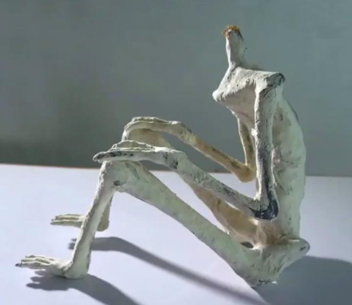 Entité biologique extraterrestre de petite taille à trois doigts aux mains & aux pieds.