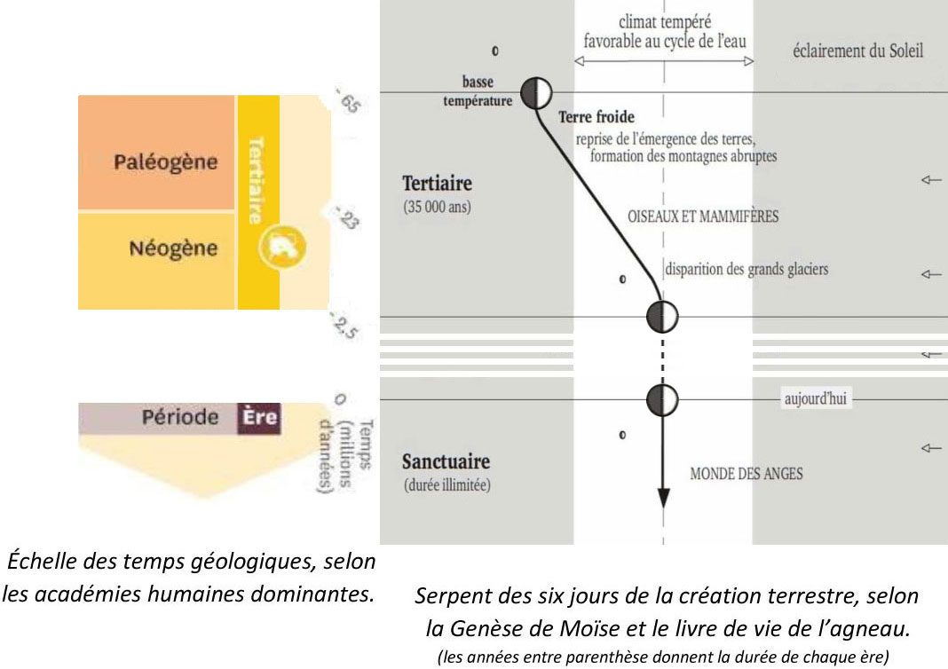 Création terrestre : Cinquième jour