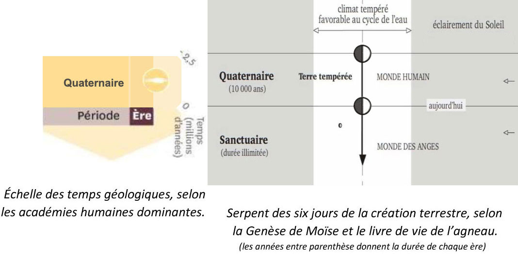 Création terrestre : Sixième jour