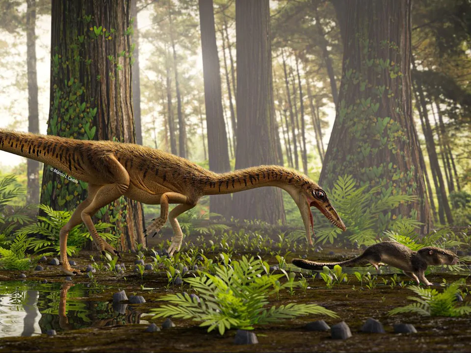 Erythrovenator jacuiensis