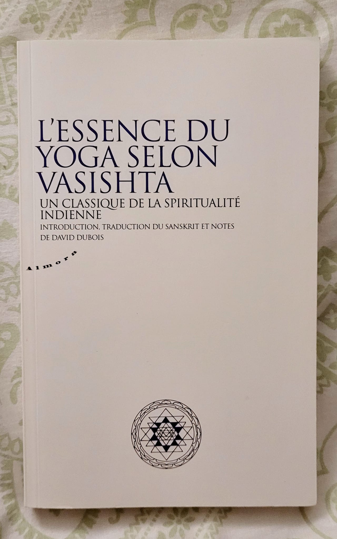 Essence du yoga selon Vasishta, spiritualité indienne (David Dubois)