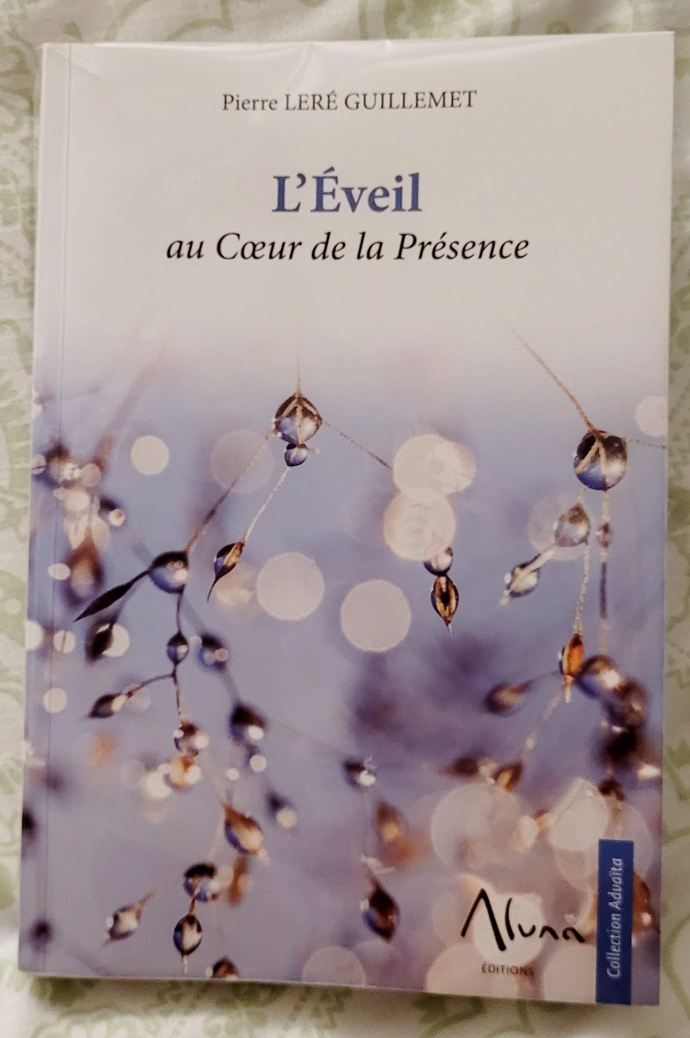 Eveil au Cœur de la Présence (Pierre Leré Guillemet, Editions Aluna)