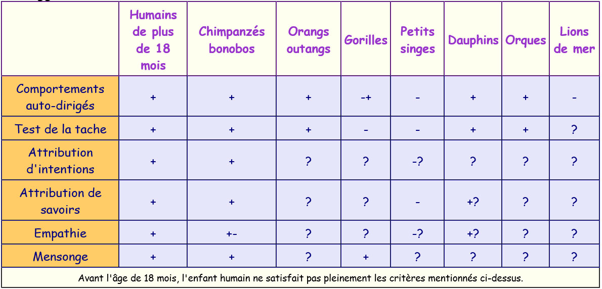 Indices suggérant l'existence d'une conscience.