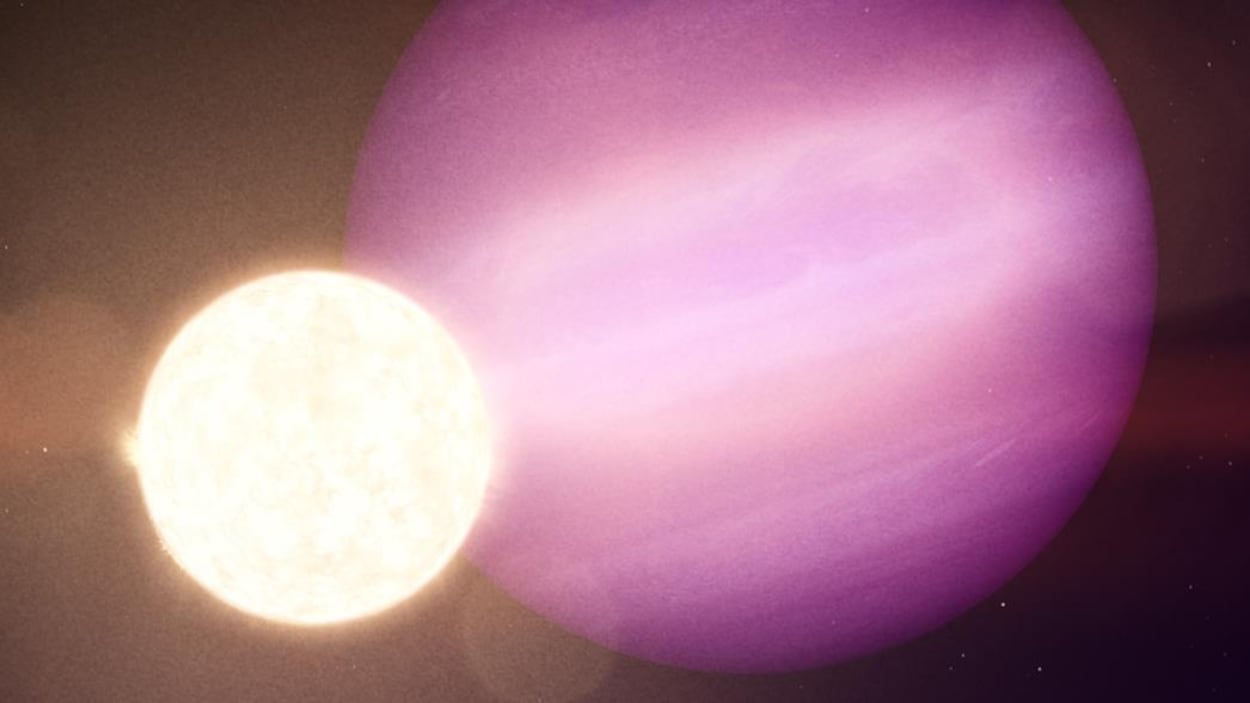 Exoplanète autour d'une naine blanche