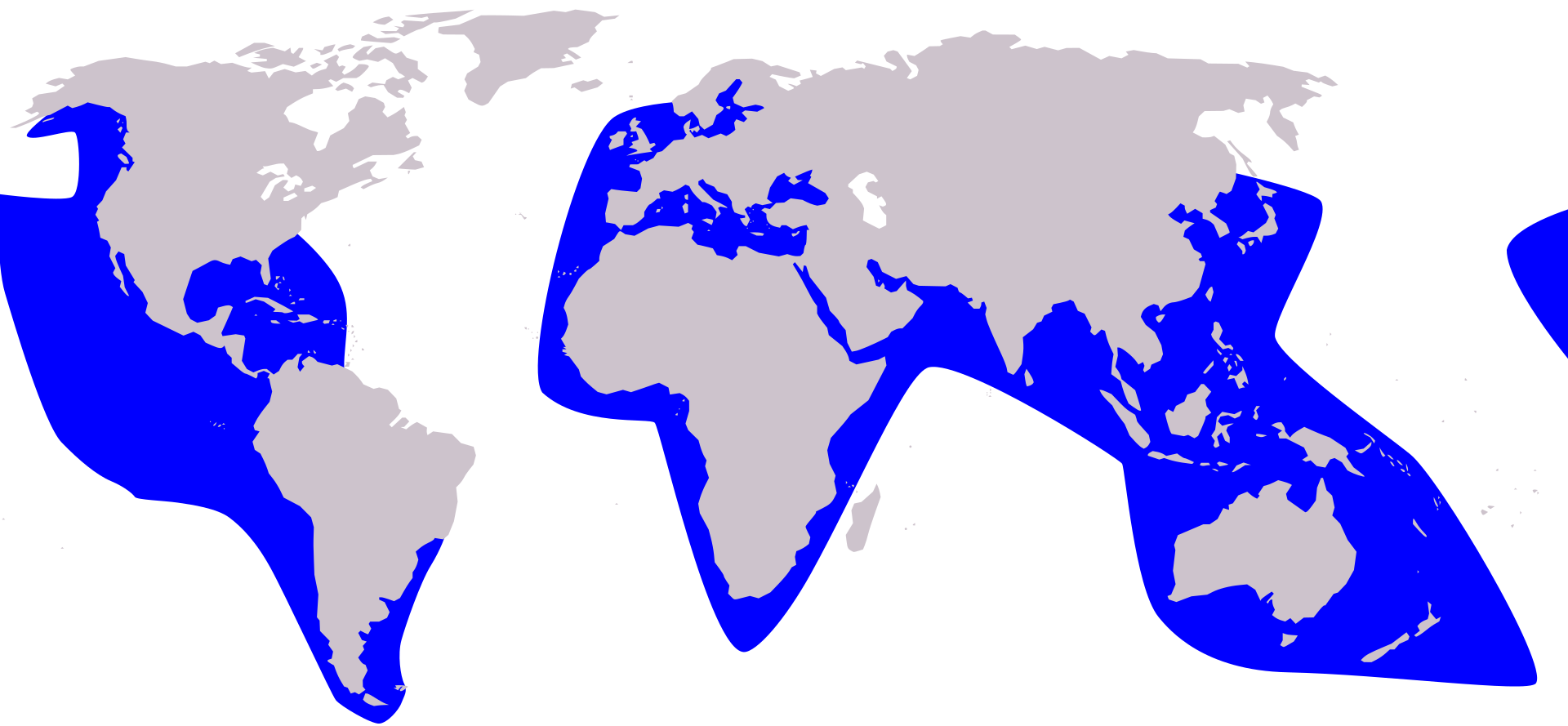 Répartition géographique de la fausse orque.