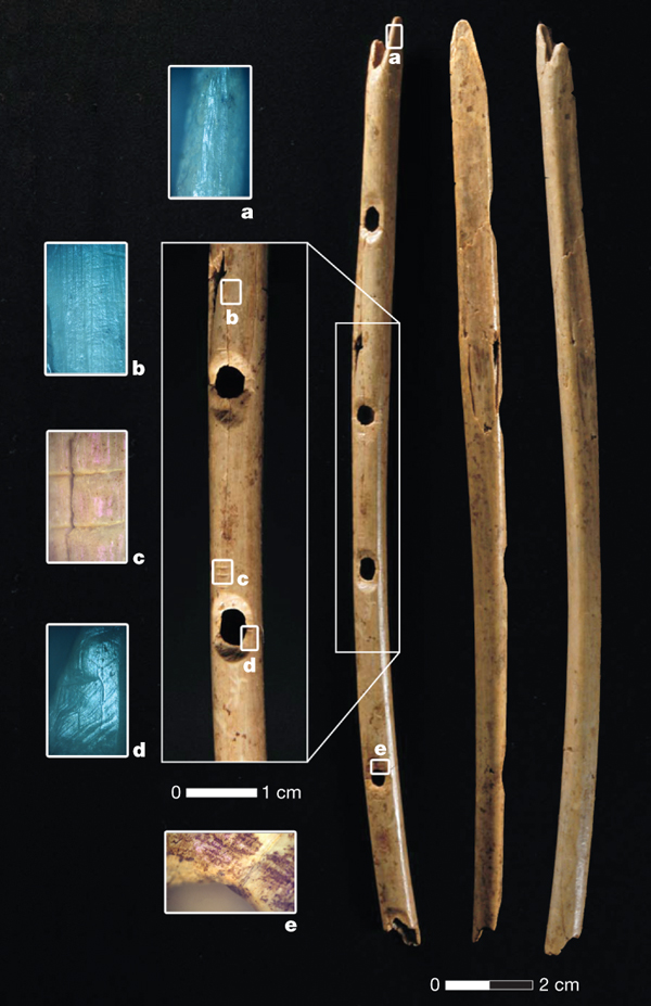 Flûte en os de vautour à Hohle Fels en Allemagne, vieille de 35 000 ans.