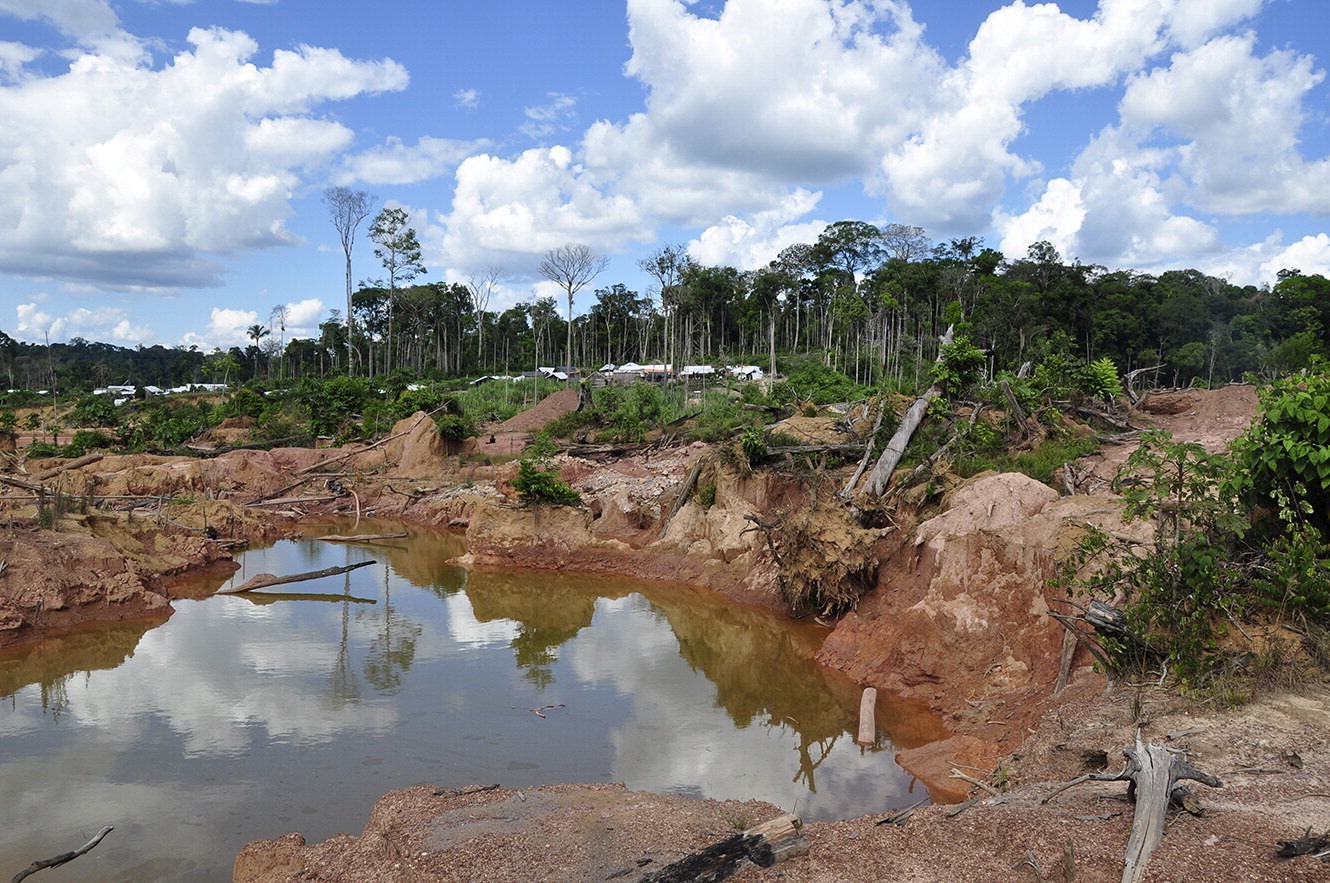 Effondrement de la forêt amazonienne en 2020