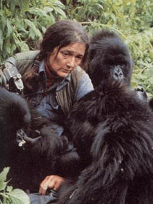 Diane Fossey