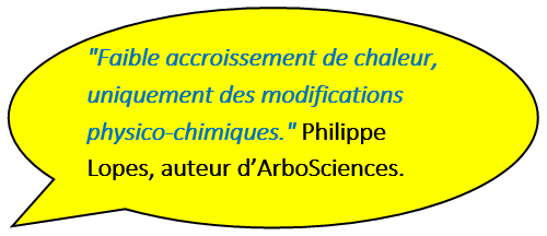 Gaz de Brown: Faible accroissement de chaleur, uniquement des modifications physico-chimiques.