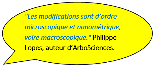 Gaz de Brown: Les modifications sont d'ordre microscopique et nanométrique, voire macroscopique.