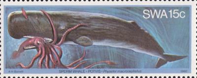 Giant squid ou calmar géant