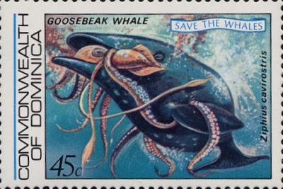 Géant octopus