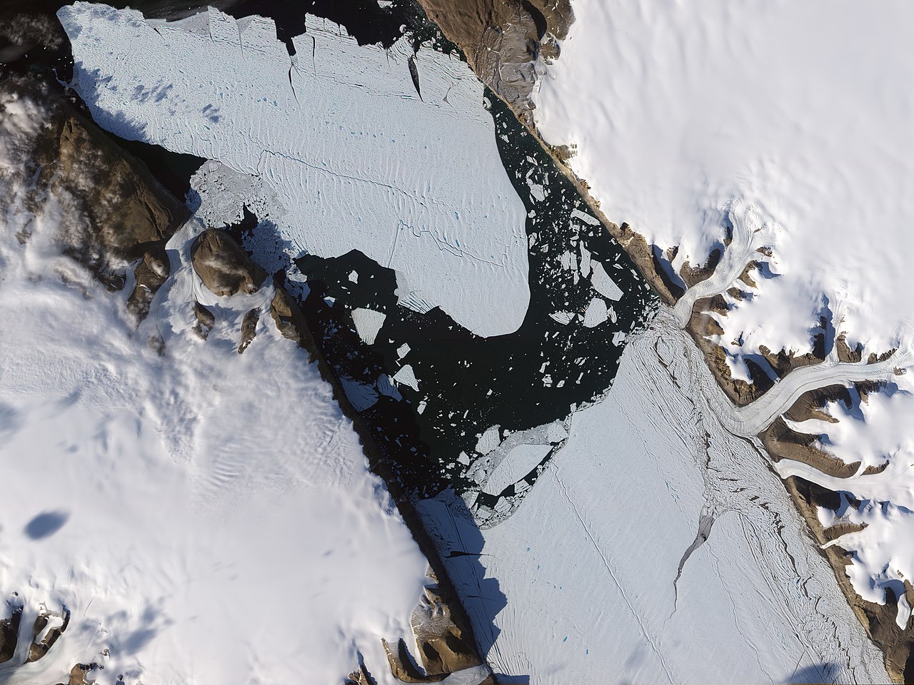 Vêlage (fragmentation) du glacier Petermann.