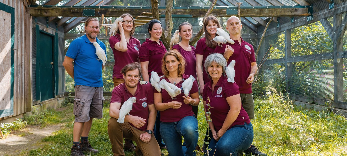 La Team Compagny de la Maison des cacatoès de Goffin en Indonésie.