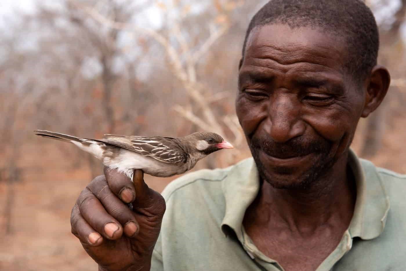 Grand indicateur (Indicator indicator) du Mozambique avec Seliano Rucunua, chasseur de miel Yao.