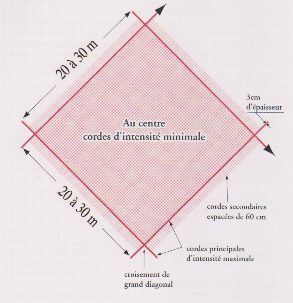 Grand réseau diagonal ou réseau sacré