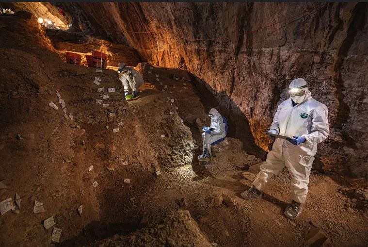 Analyse des sédiments dans la grotte de Chiquihuite dans la sierra del Astillero au Mexique.