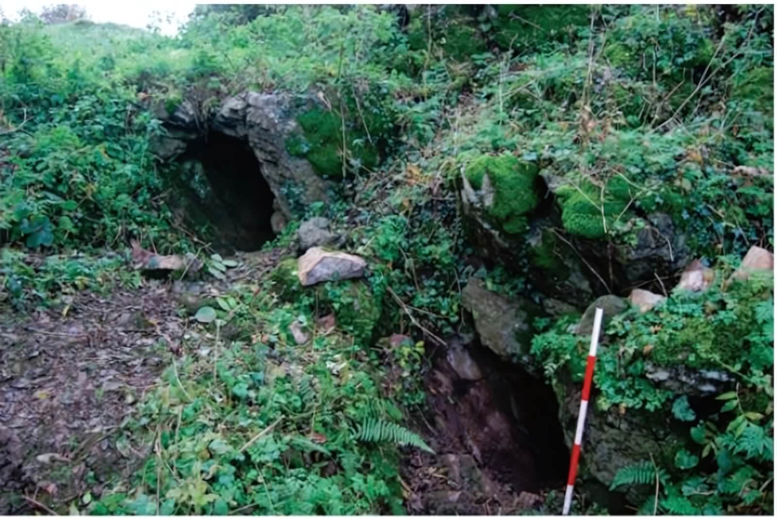 Grotte de Killuragh à Craggaunowen dans le comté de Limerick en Irlande, vieille de 4 000 ans.