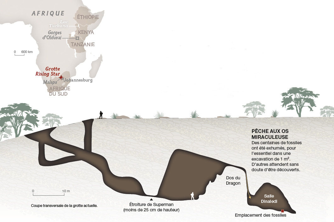 Grotte de l'Homo naledi