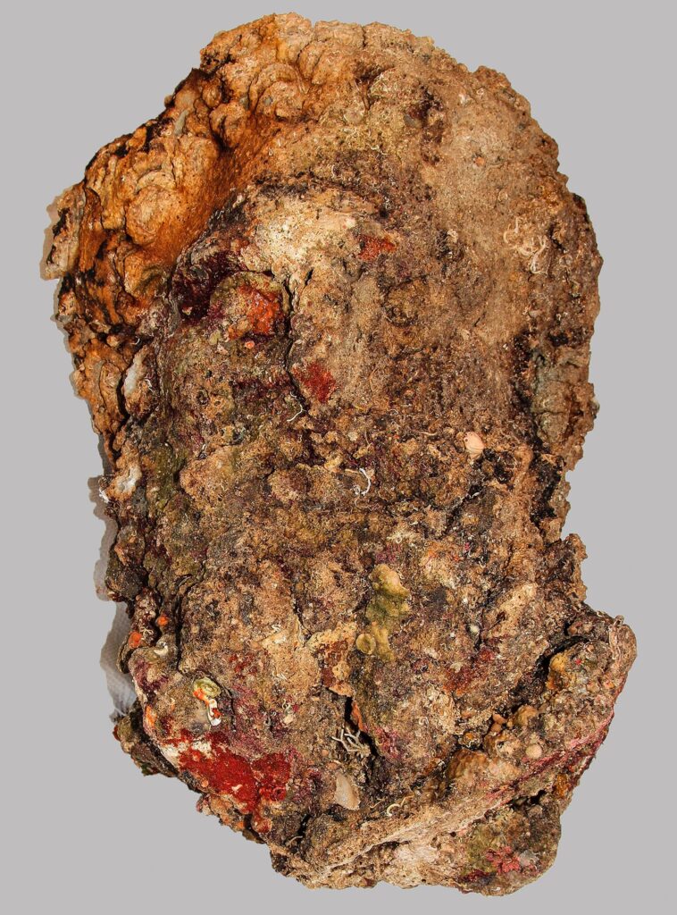 Tête d'Héraclès au large de l'île Antikythera