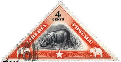Hippopotame nain