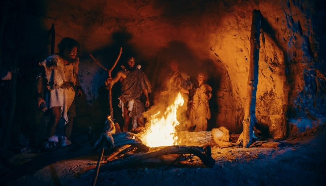 Cuisson de l'alimentation par les hominidés.