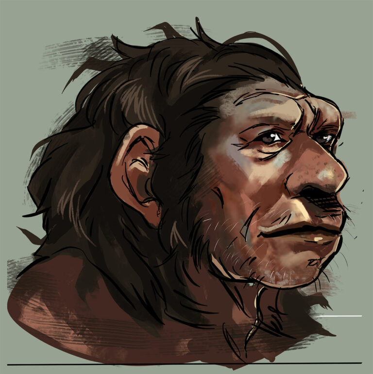 Portrait de l'homo bodoensis, par Carole Gauthier.