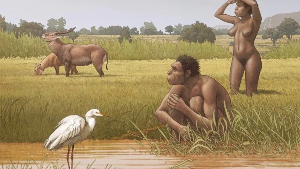 L'homo bodoensis dans son milieu naturel, la savane africaine