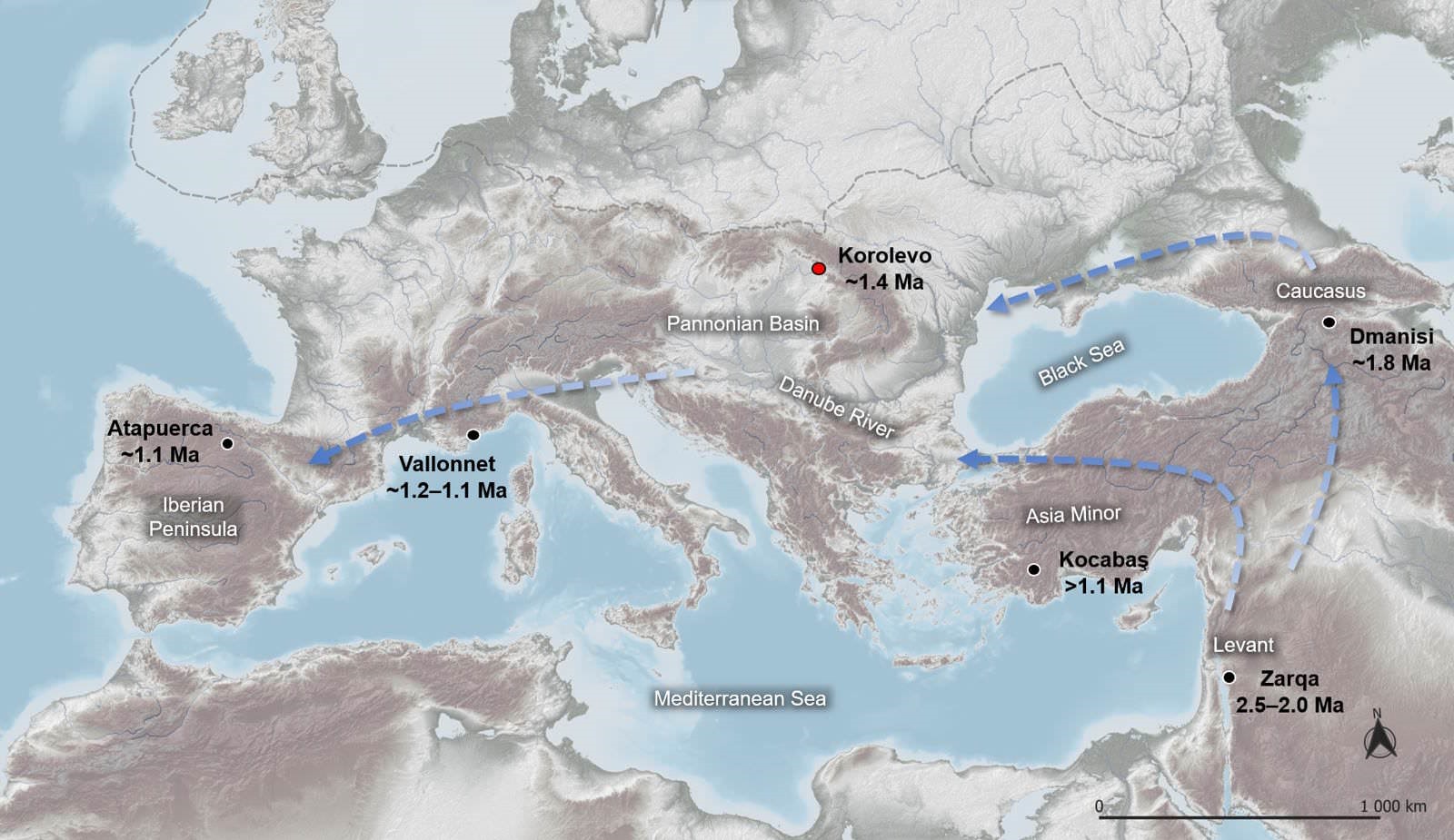 Outil d'homo erectus, à Gostry Verkh, près de Korolevo, en Ukraine, il y a 1,4 million d'annés.
