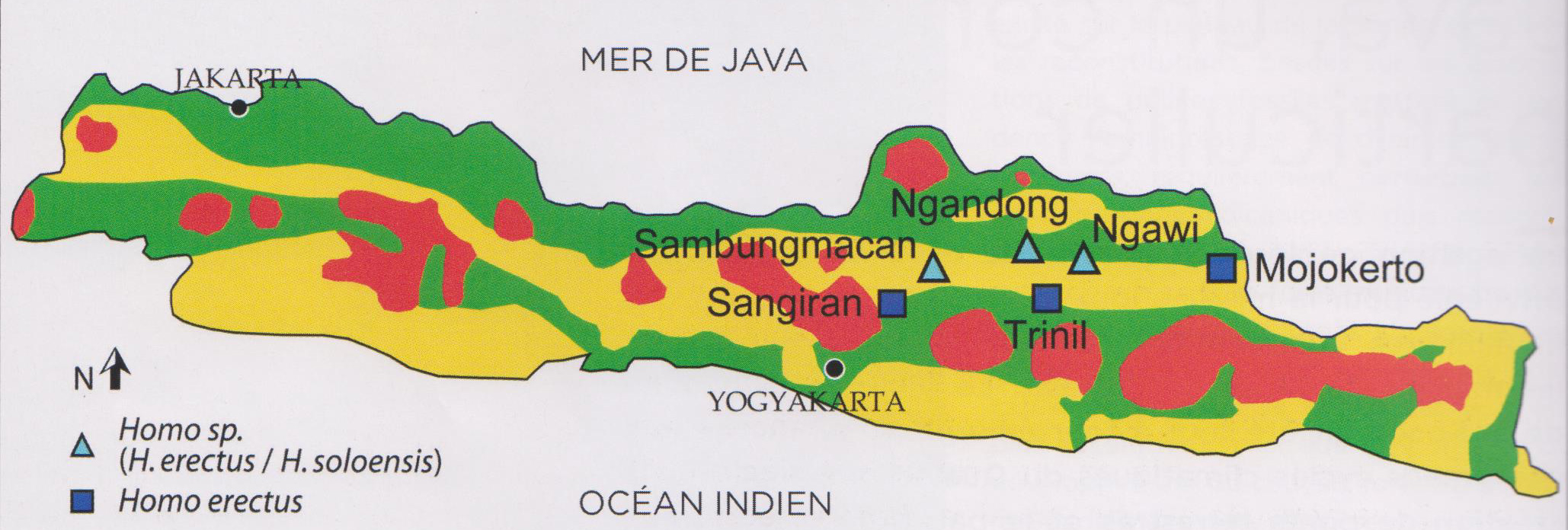 Sites préhistoriques de l'Homo erectus & de l'Homo soloensis sur l'île de Java en Indonésie