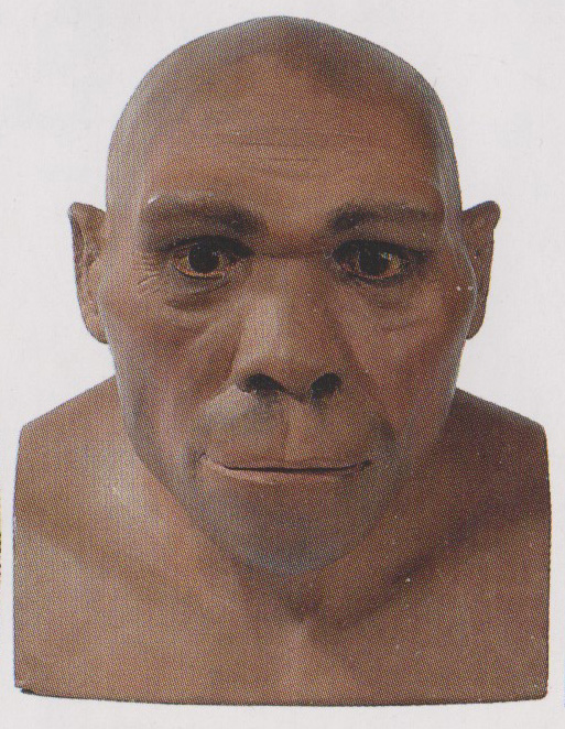 Homme de Pékin