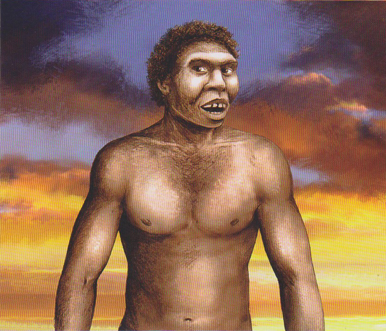 Homo ergaster