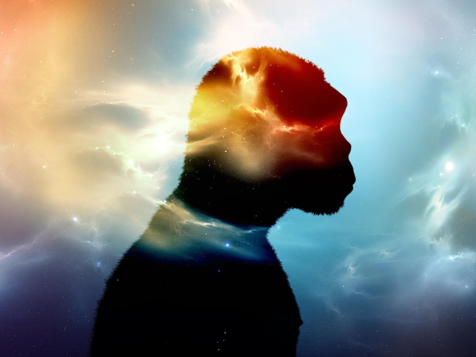 Homo, espèce inconnue
