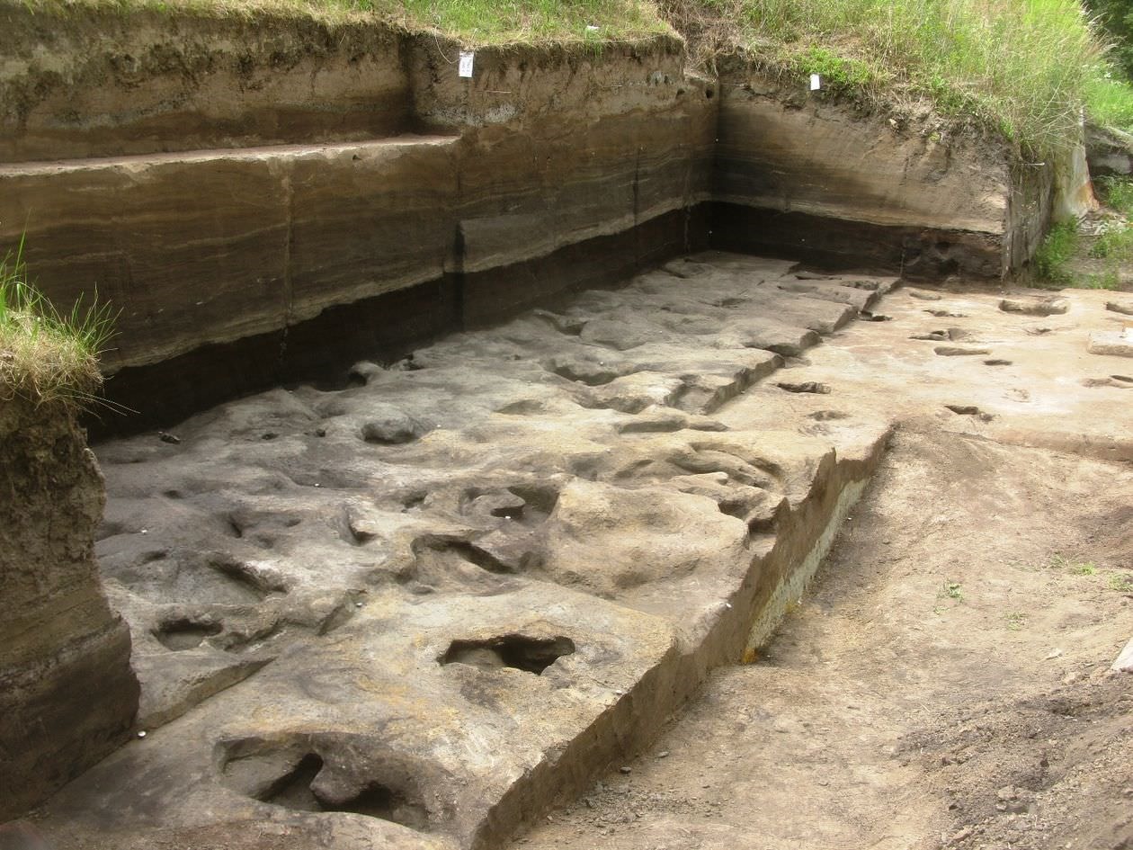 Empreintes de pas d'Homo heidelbergensis