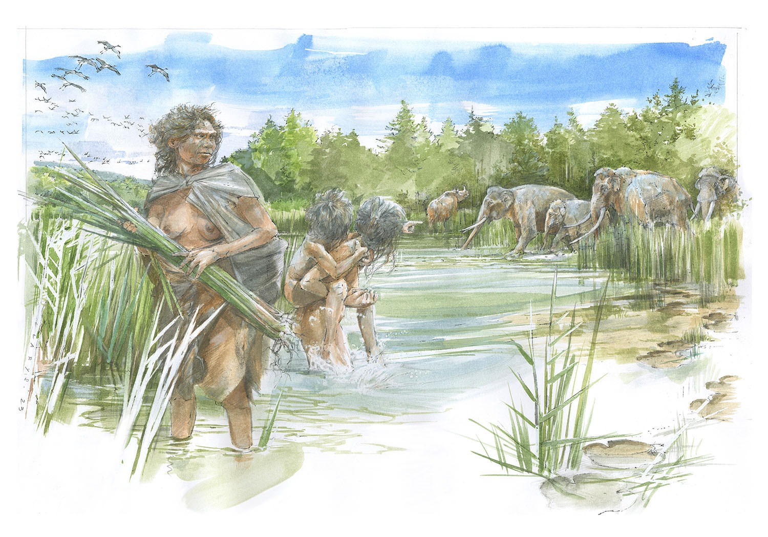 Homo heidelbergensis il y a 300 000 ans.