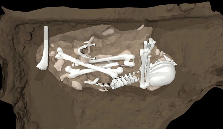 Homo naledi en position fœtale (ou recroquevillée).