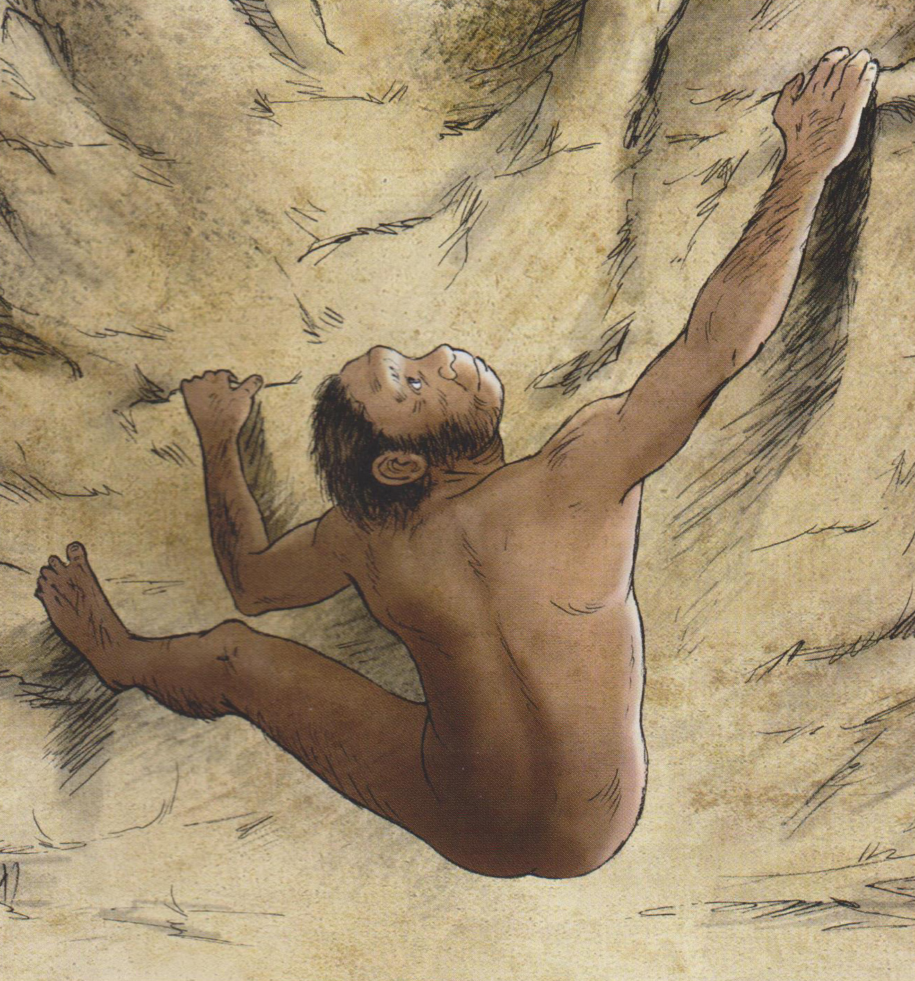 Homo naledi, l'homme des montagnes