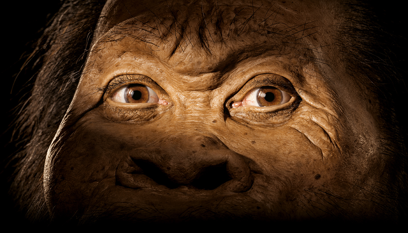 Homo naledi