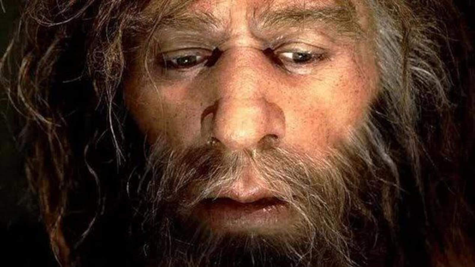 Homo Nédertalensis