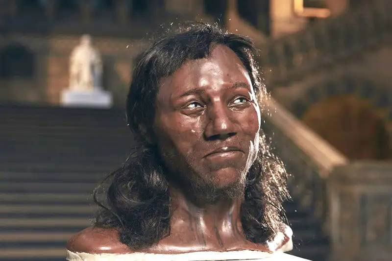 Homo Sapiens de Cheddar (Somerset, Royaume-Uni).