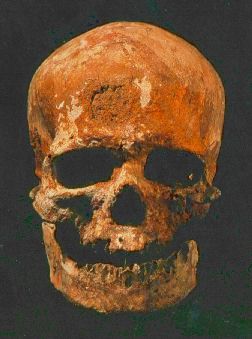 Crâne de Cro-Magnon