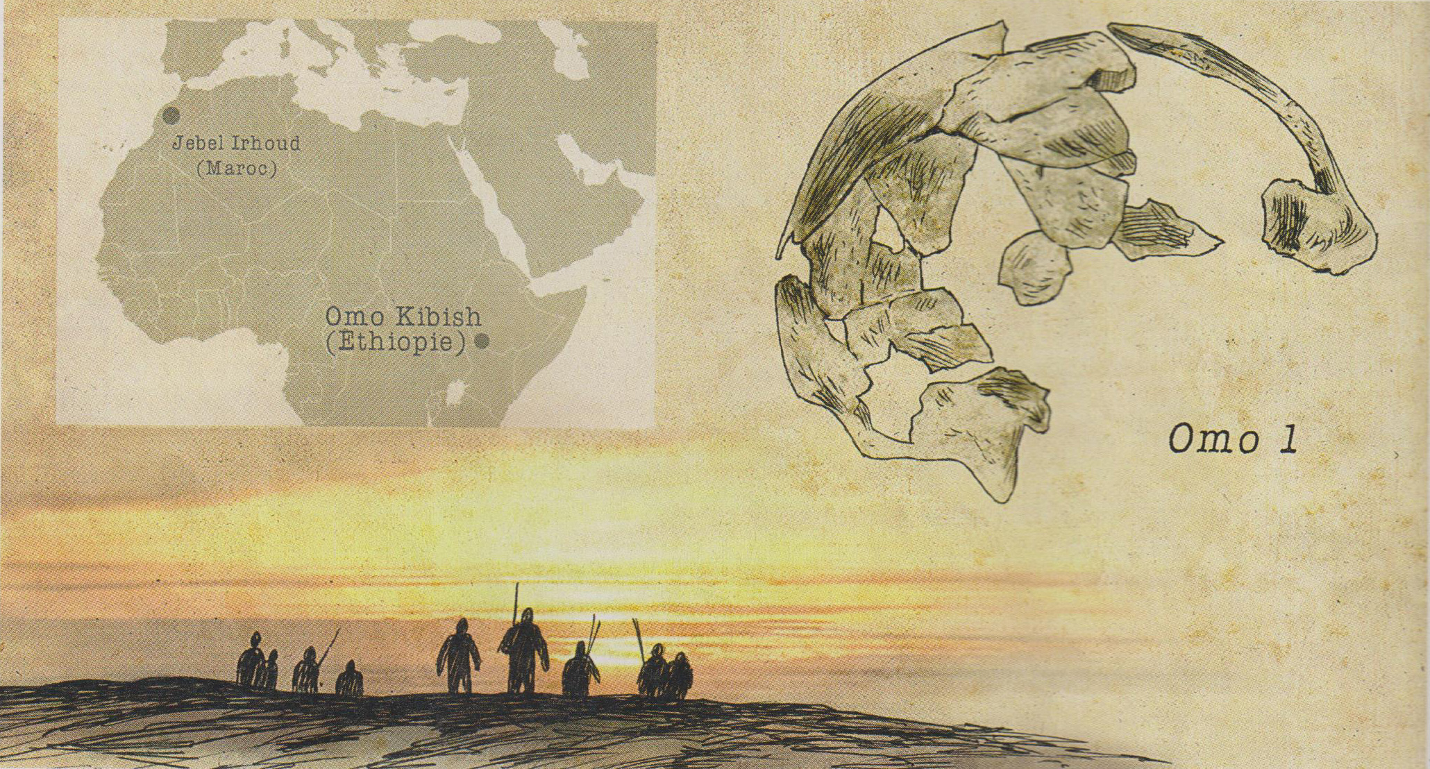 Homo sapiens Omo I