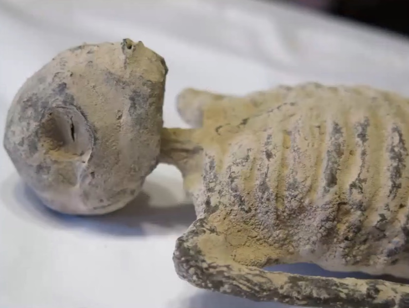 Humanoïde de petite taille.