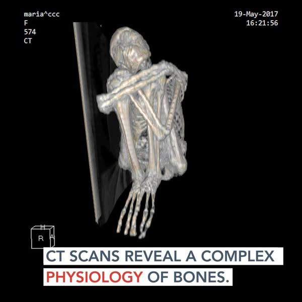 Humanoïde de petite taille muni de trois doigts, aux mains & aux pieds.