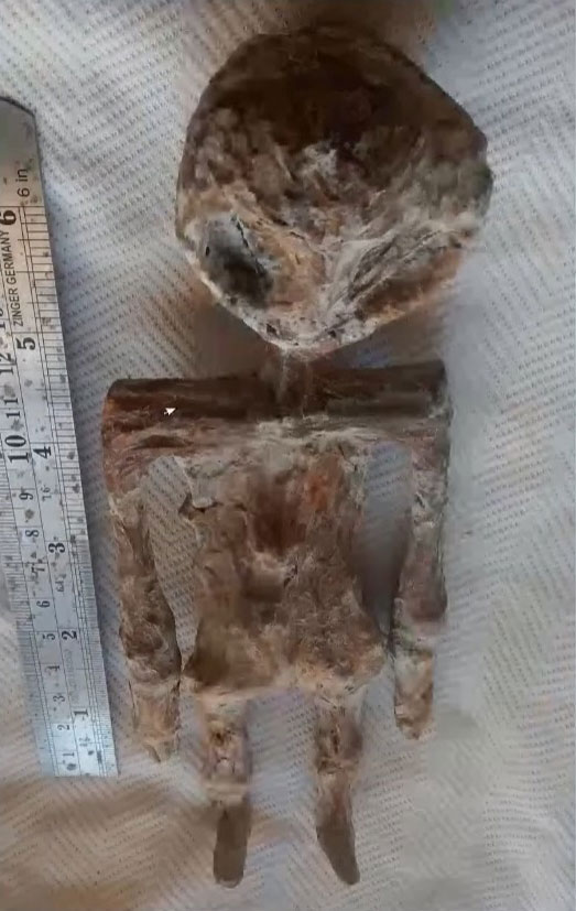 Humanoïde de taille 18cm.