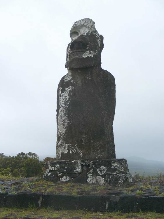 Moaï à Huri A Urenga sur la pente du volcan Rano Raraku sur l'île de Pâques.