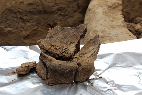 Fragment de jarre sur le site archéologique de Gadachrili Gora en Géorgie, il y a 6 000 ans.